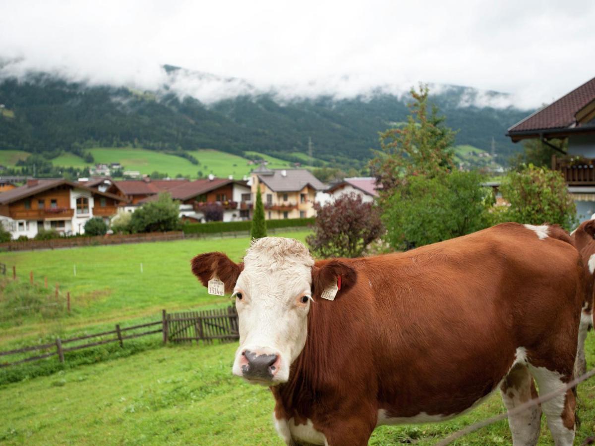 Apartment In Altenmarkt In Pongau Near Ski Area อัลเทนมาร์คท์ อิม พองเงา ห้อง รูปภาพ